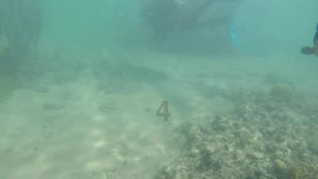 济南中央商务区集团项目获评山东建设工程至高奖“泰山杯”